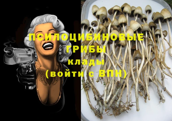 дживик Инта
