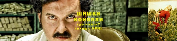 дживик Инта