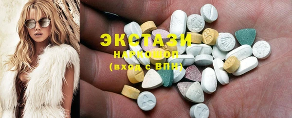 дживик Инта