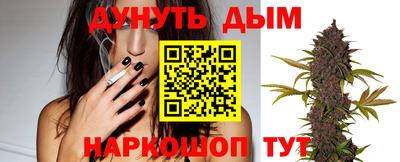 сатива Краснознаменск