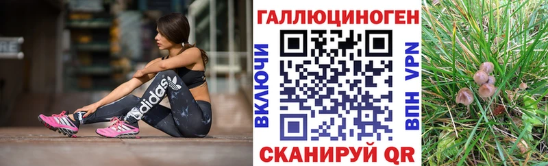 Купить где  Красногорск  Галлюциногенные грибы ЛСД 