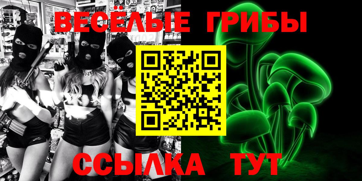 Красногорск  Галлюциногенные грибы Cubensis  Вход с VPN 