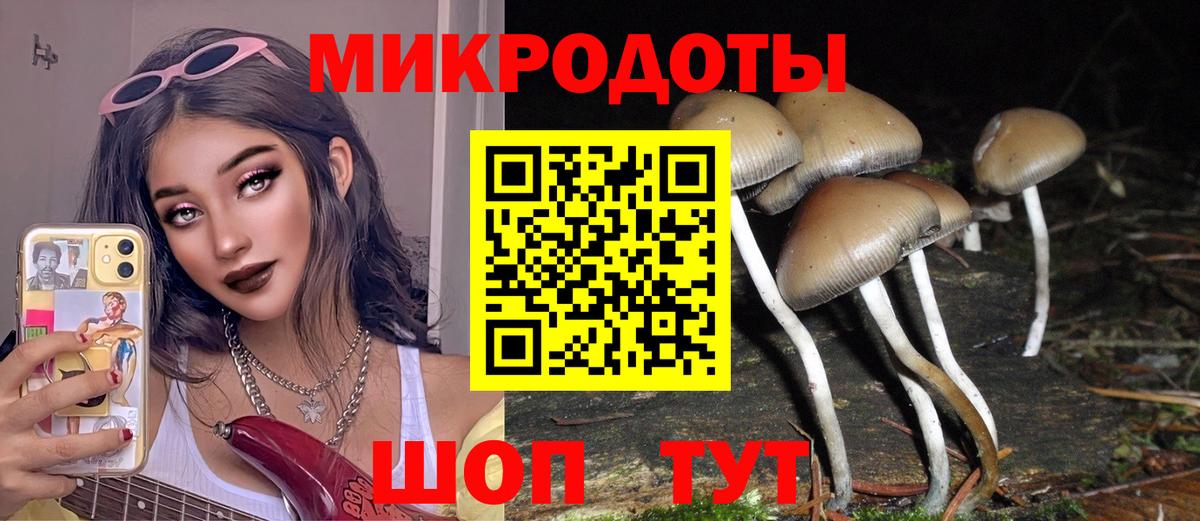 Галлюциногенные грибы прущие грибы Красногорск